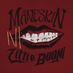 Cover of ZITTI E BUONI (Eurovision Version)