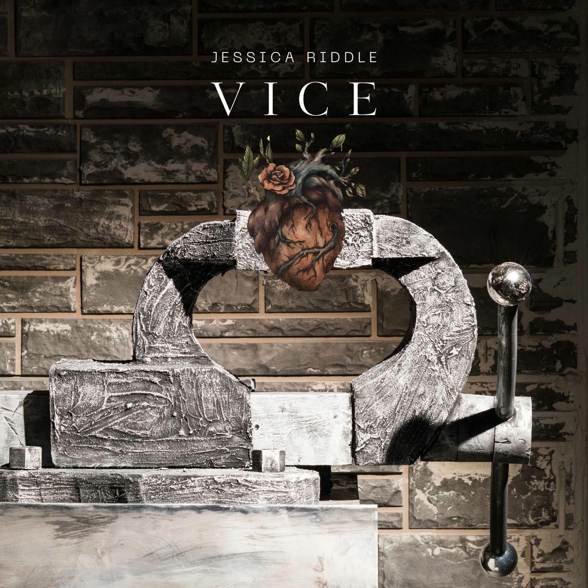 Album cover of Vice