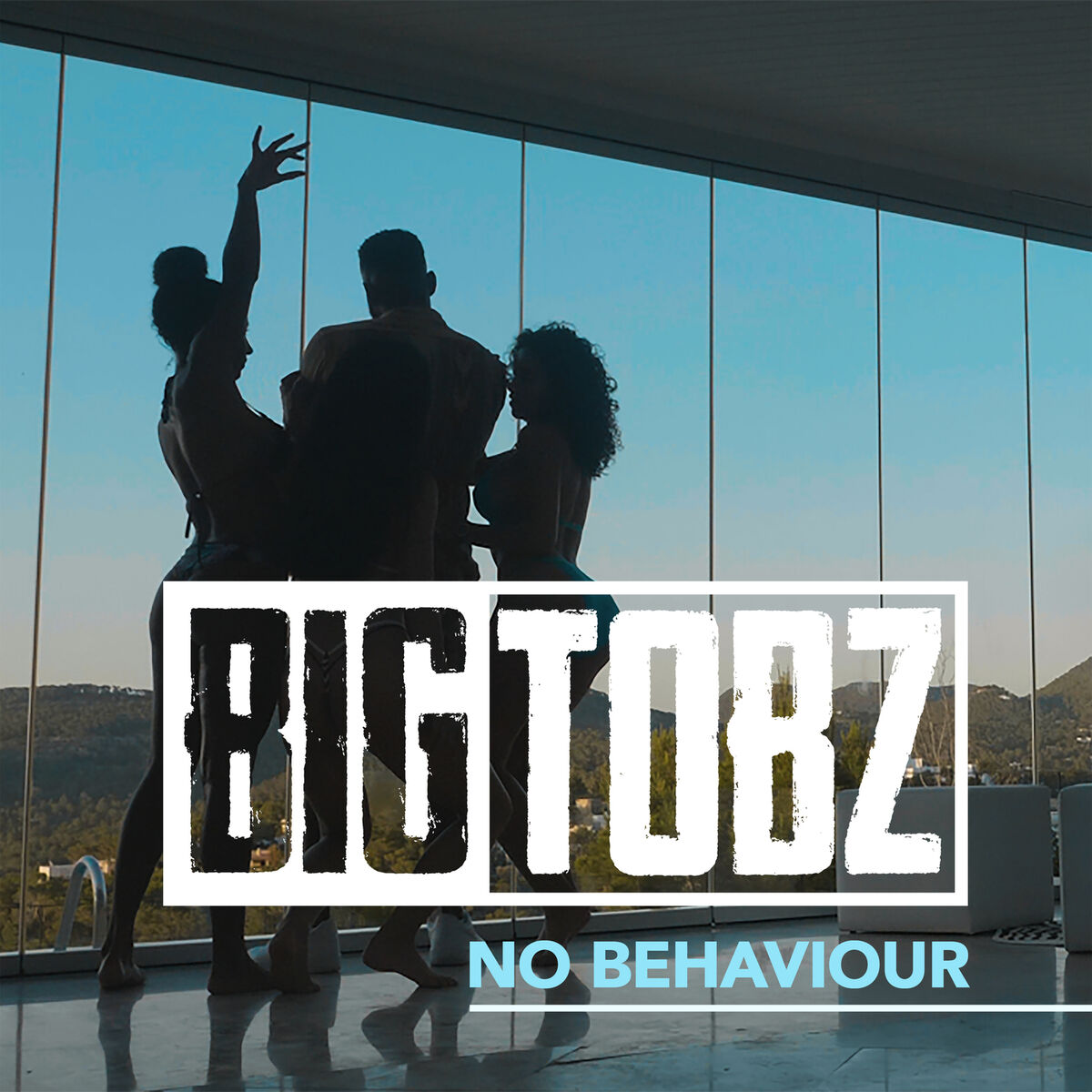 Album cover of No Behaviour