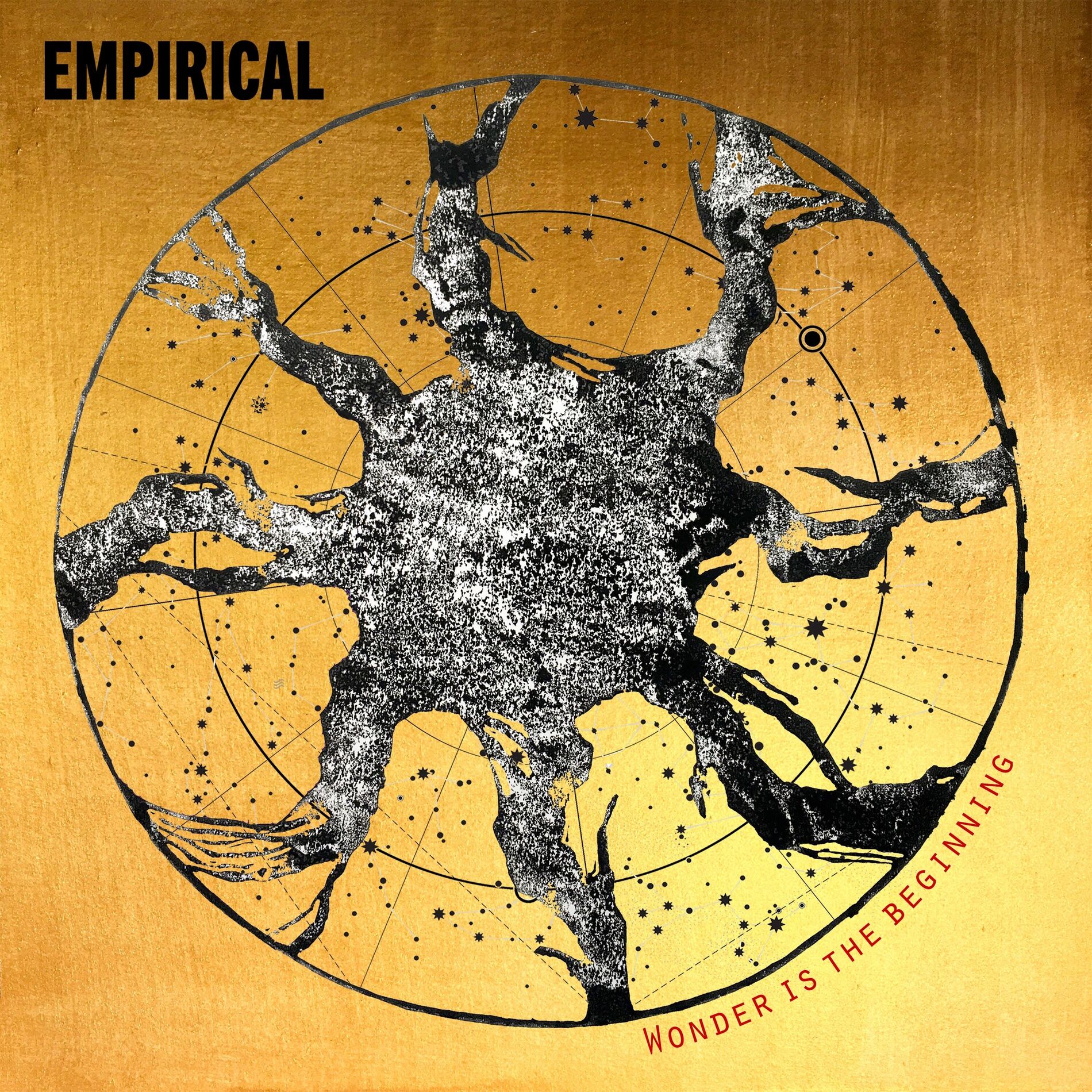 Album cover of Wonder is the Beginning