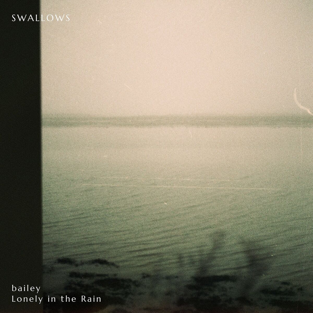 Album cover of Swallows