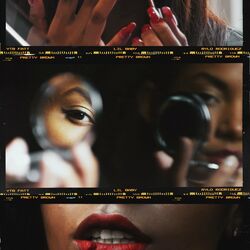 Cover of Pretty Brown