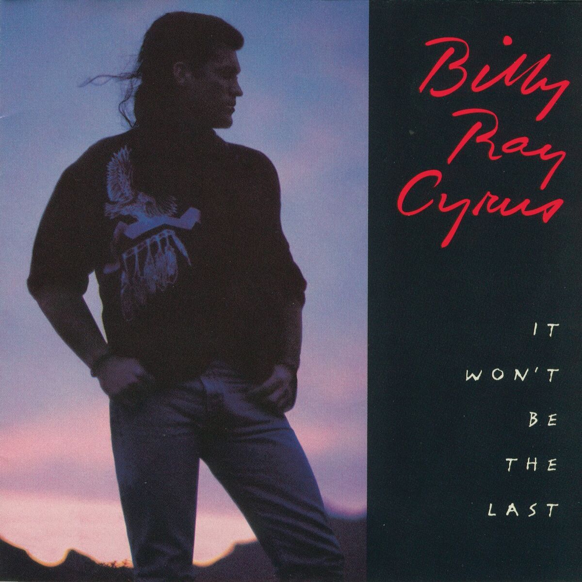 Album cover of It Won't Be The Last