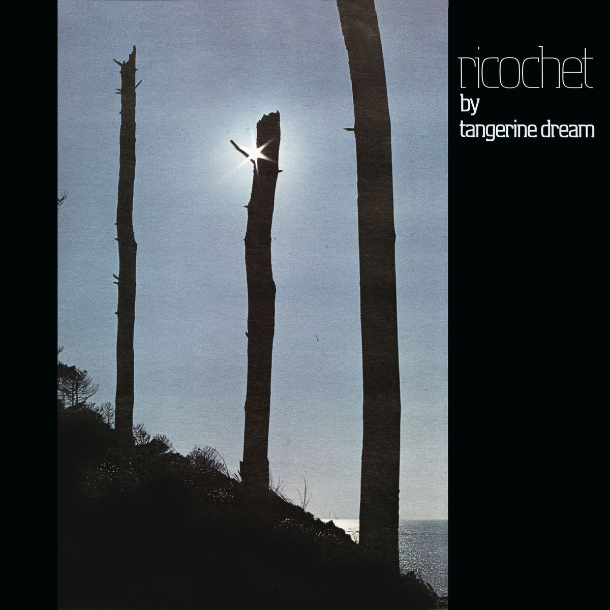 Album cover of Ricochet (Live / Deluxe Version)