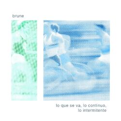 Cover of Lo que se va, lo continuo, lo intermitente