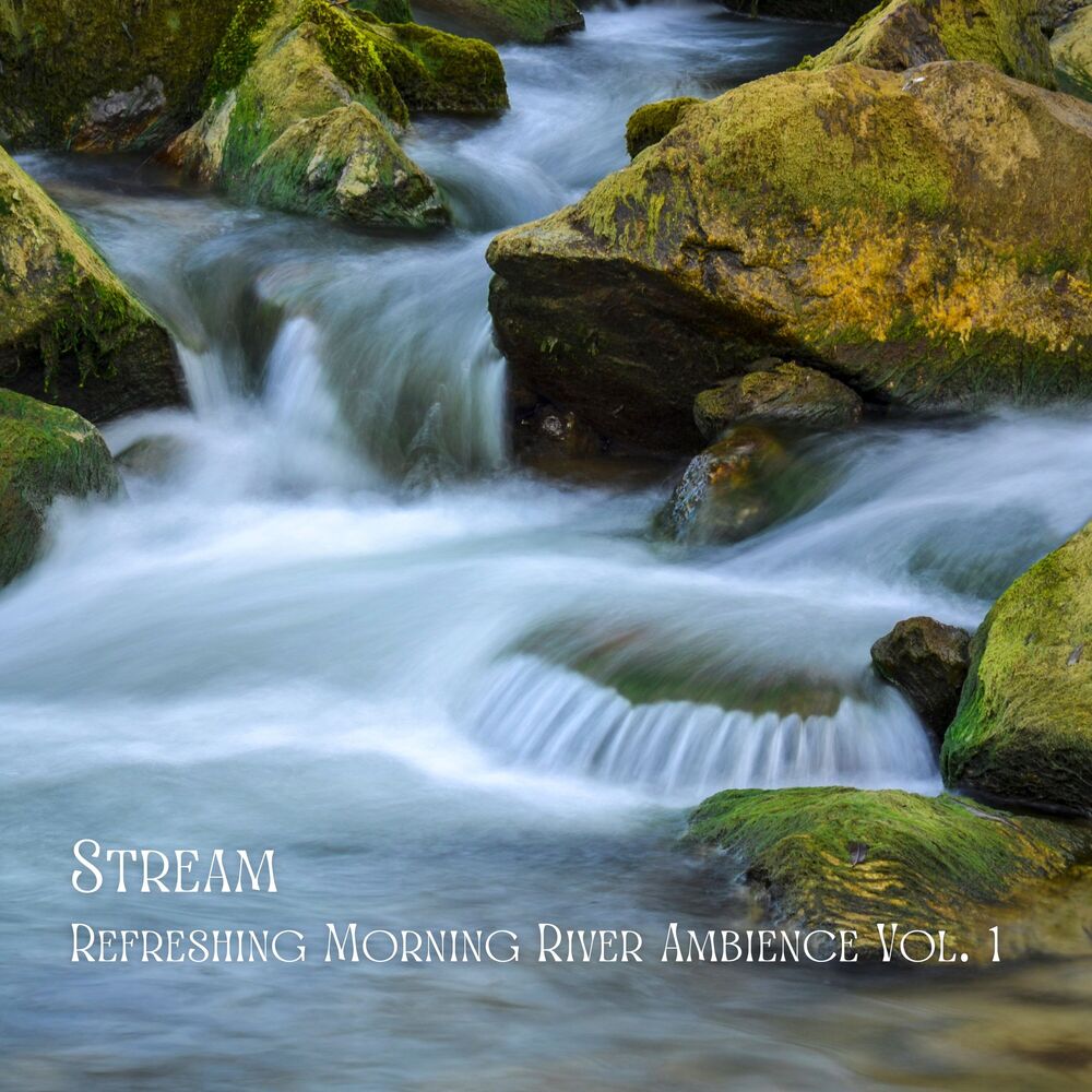 Picture of Stream: Refreshing Morning River Ambience Vol. 1