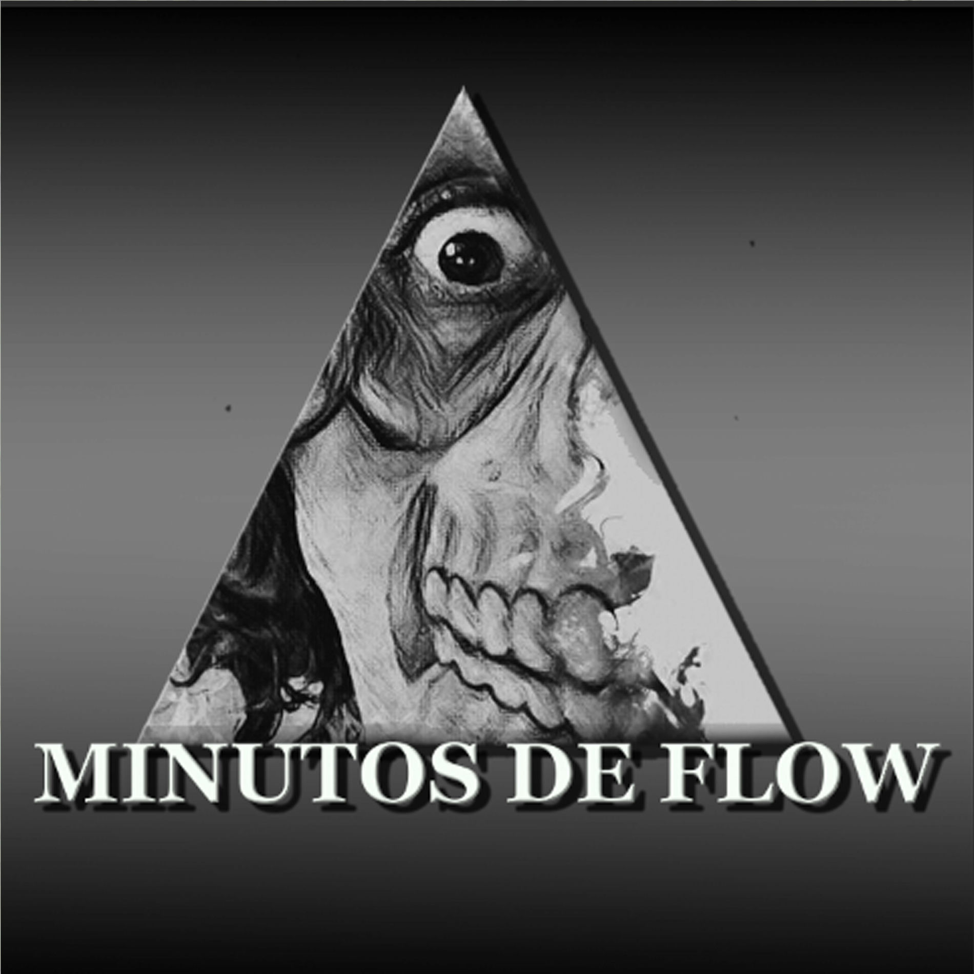 Album cover of Minutos De Flow X