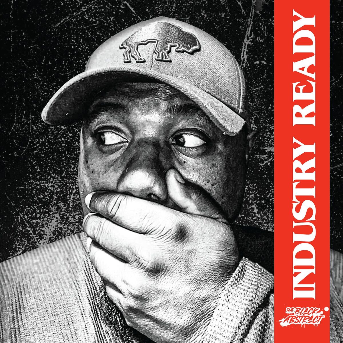 Album cover of Industry Ready