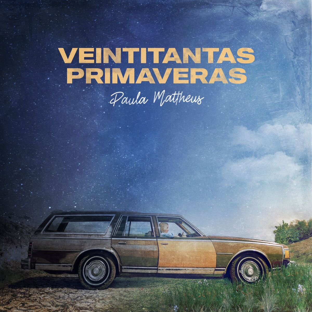 Album cover of Veintitantas Primaveras