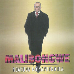 Cover of Ndakuva Ndiyaphendula