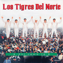 Cover of Asi Como Tu