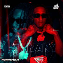 Cover of 2 Many