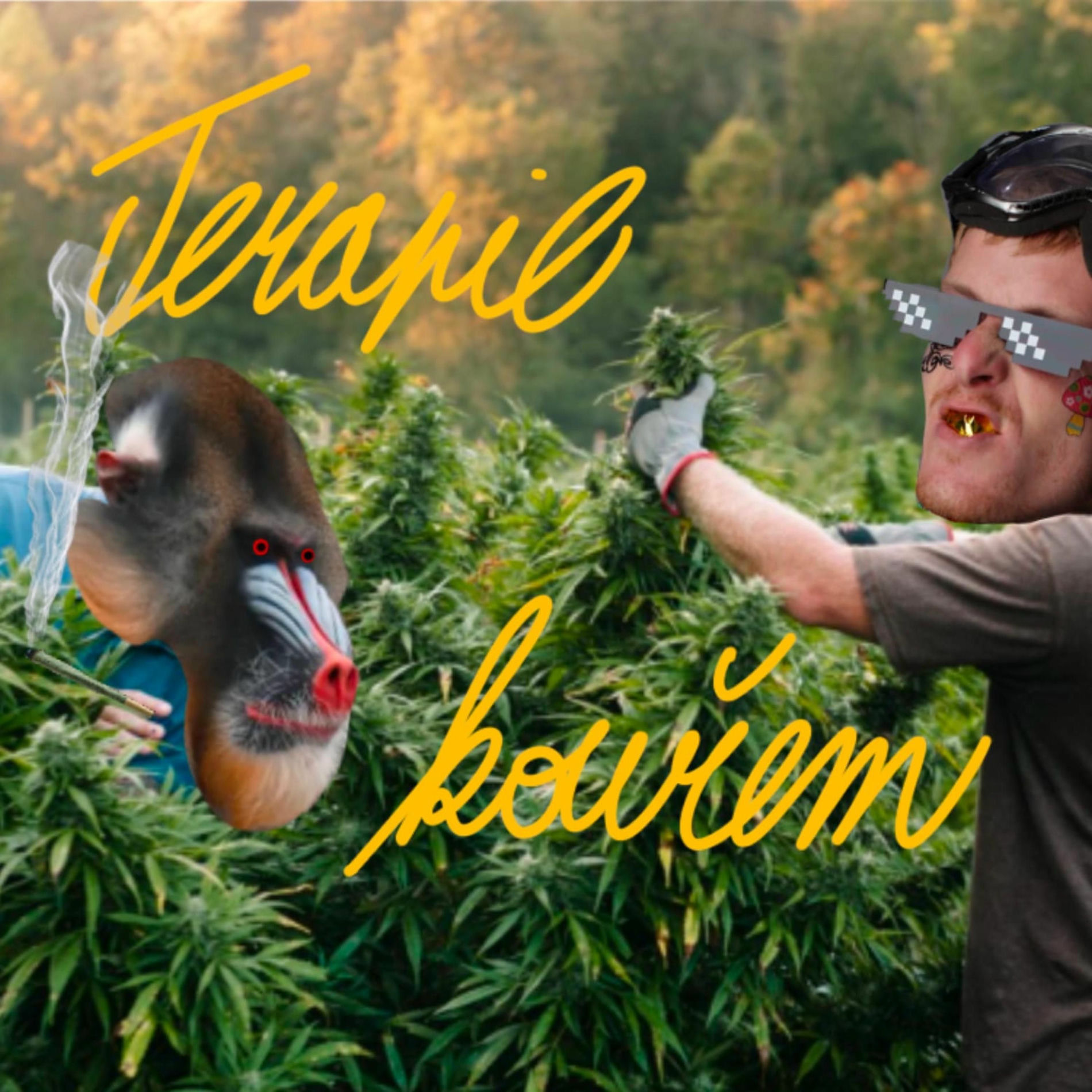 Album cover of Terapie Kouřem (feat. Gambrz Reprs)