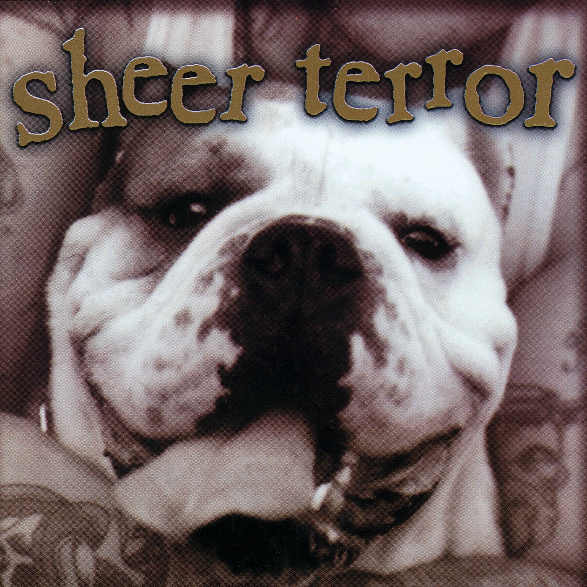 洋楽 SHEER TERROR Sheer Terror: albumy, piosenki, koncerty | Deezer