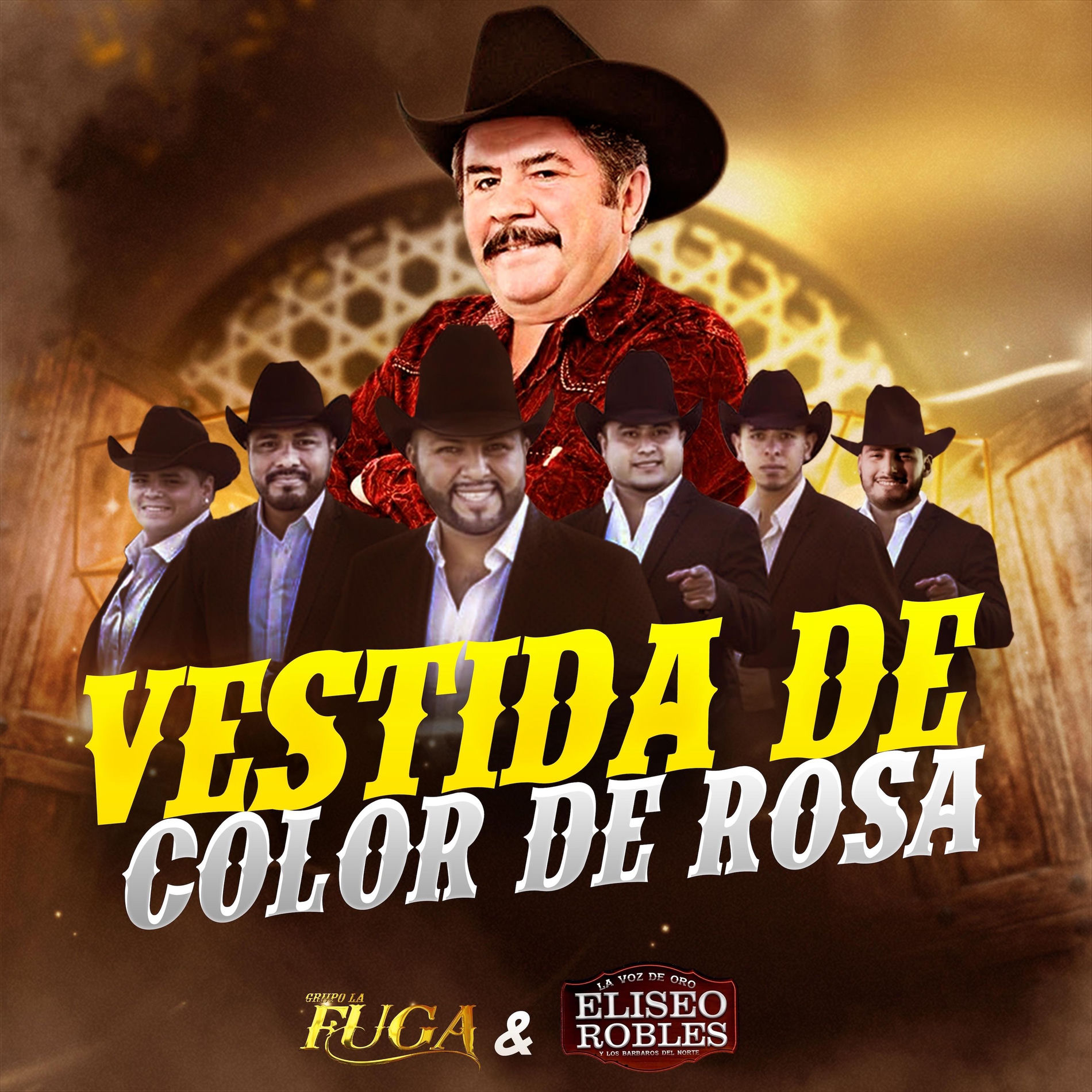 Album cover of Vestida de color de rosa