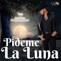 Cover of Pídeme La Luna