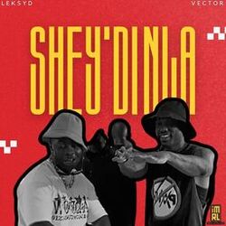 Cover of Shey'di Nla