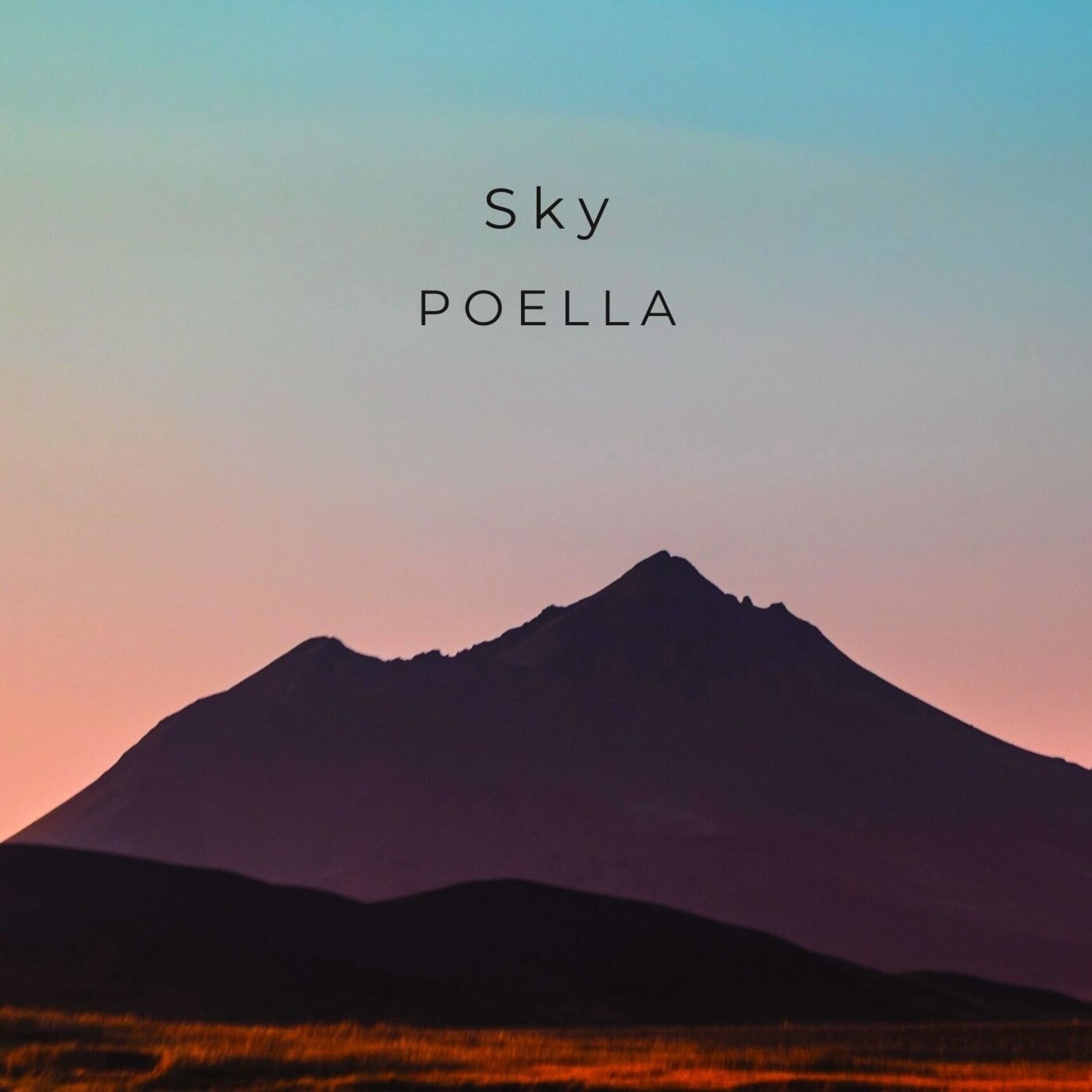 Album cover of Sky