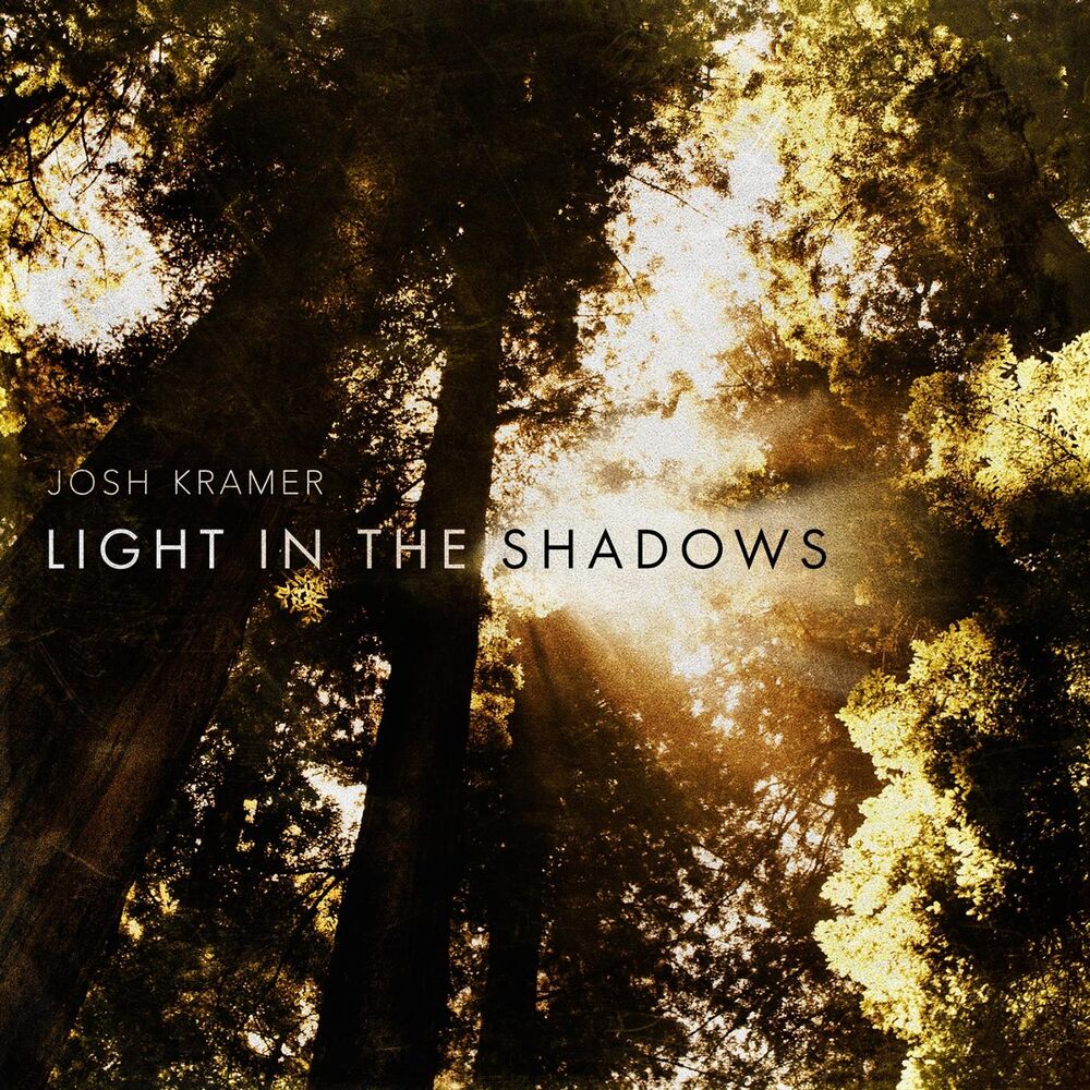 Picture of Light in the Shadows