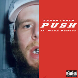 Cover of Push