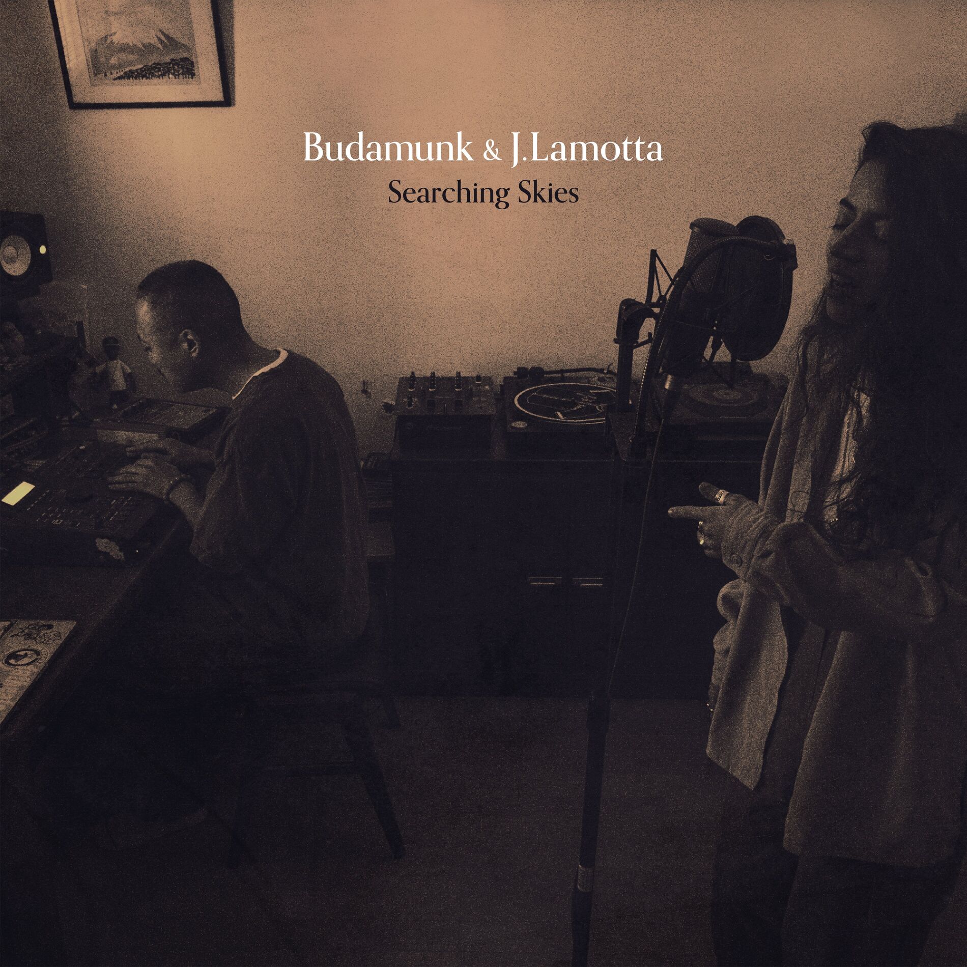 Album cover of Searching Skies