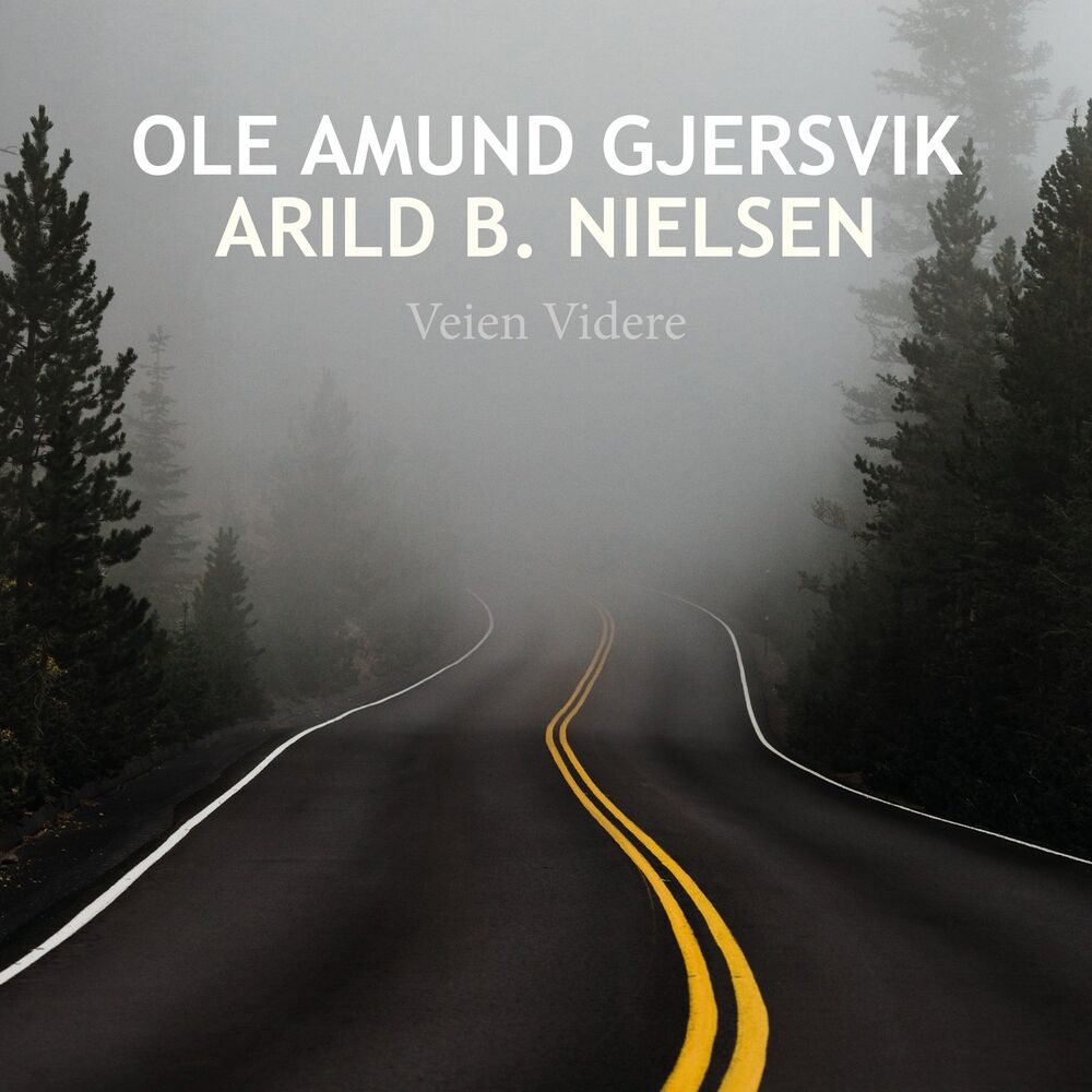 Picture of Veien Videre