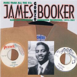Cover of Gonzo: More Than All The 45's