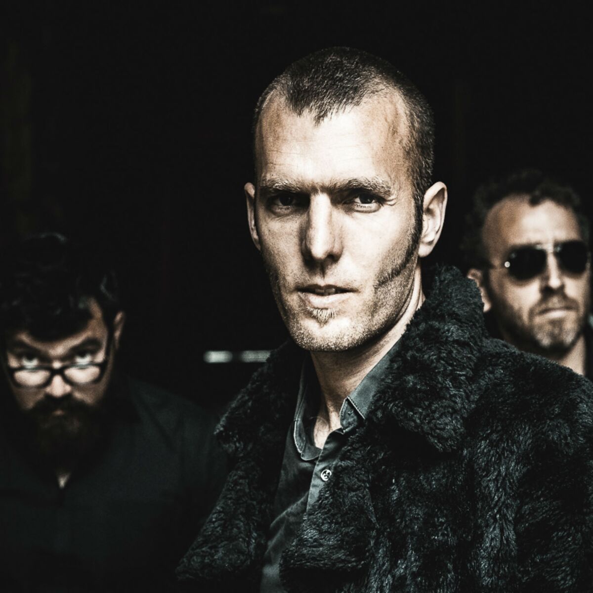 Album cover of The Lion