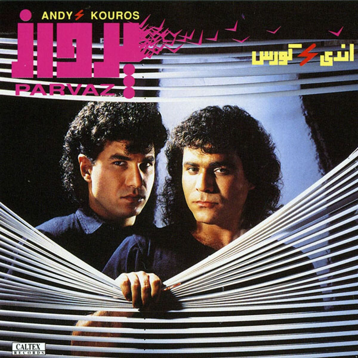 Album cover of Parvaz - Persian Music