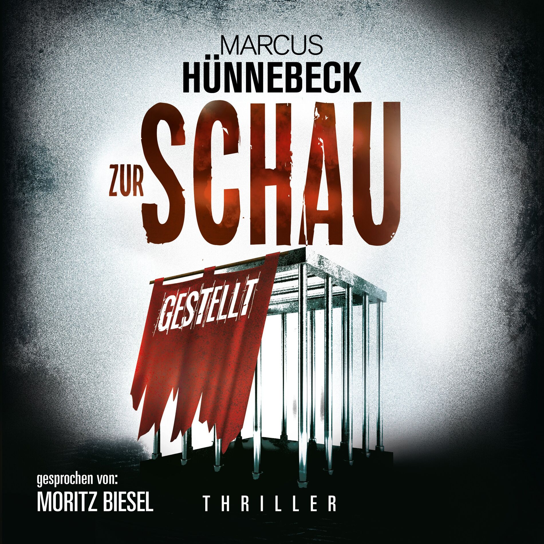 Album cover of Intro & Kapitel 1.1 - Zur Schau gestellt