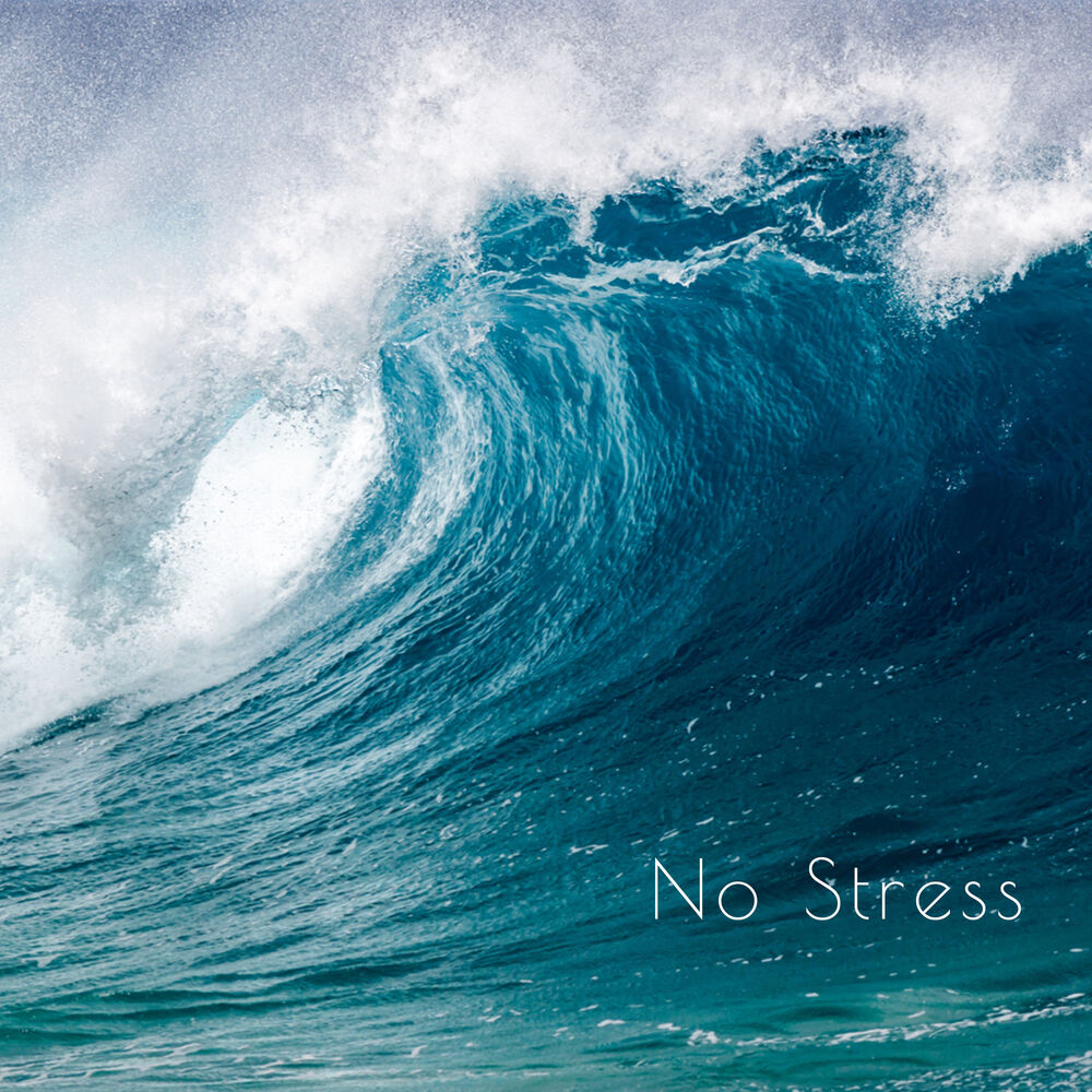 Picture of No Stress
