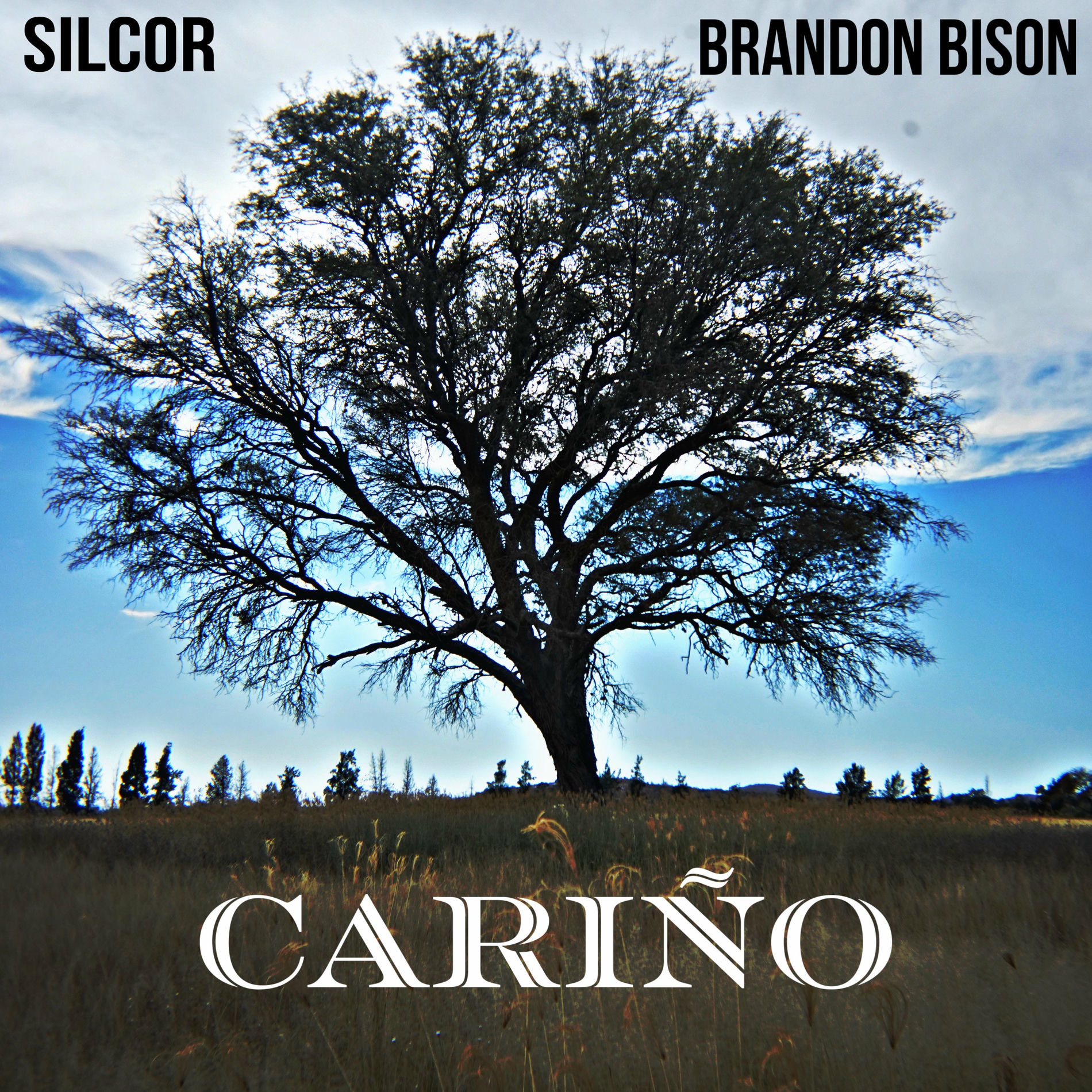 Album cover of Cariño