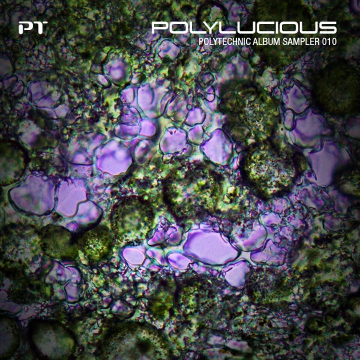 Album cover of Polylucious - Polytechnic Album Sampler 010