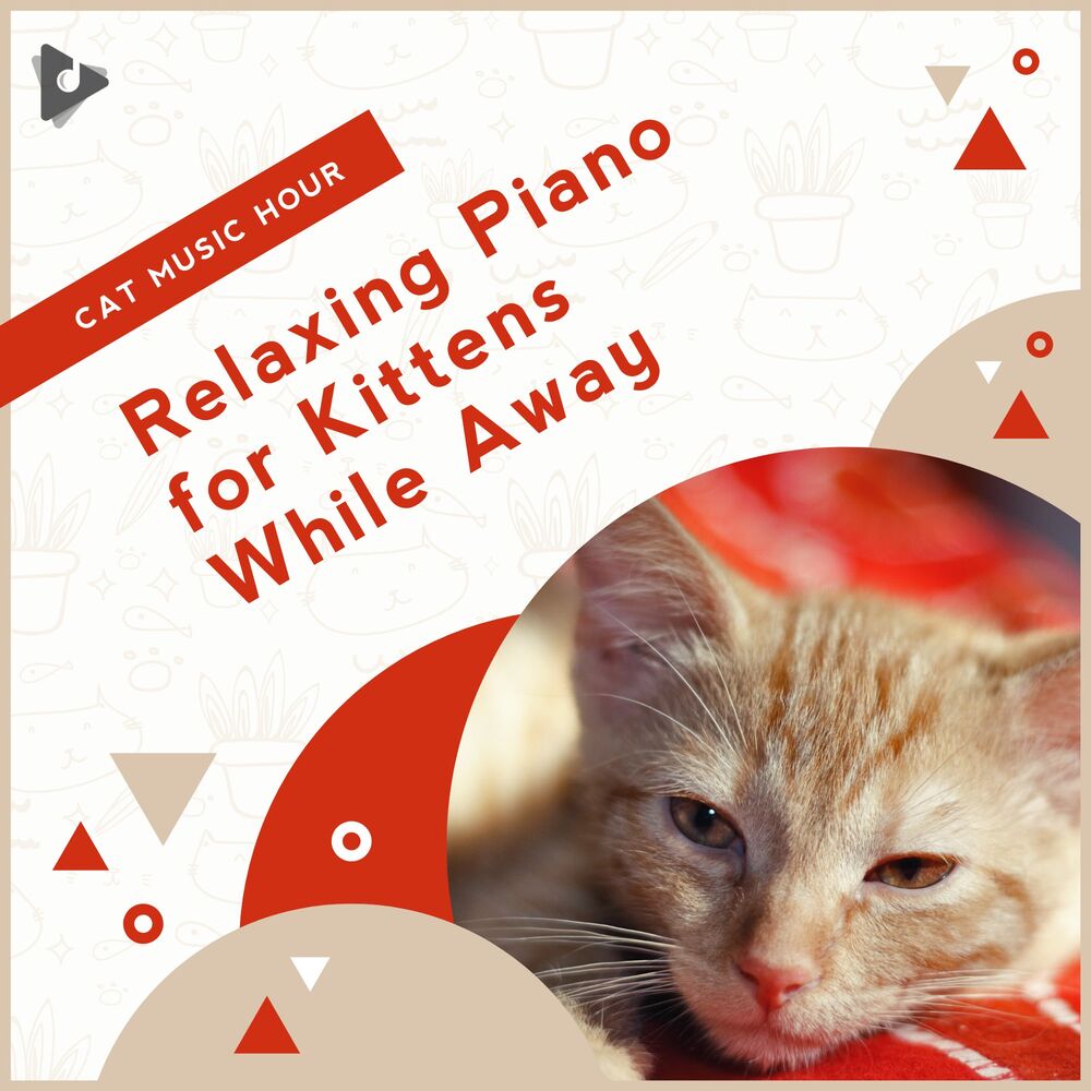 Picture of Relaxing Piano for Kittens While Away