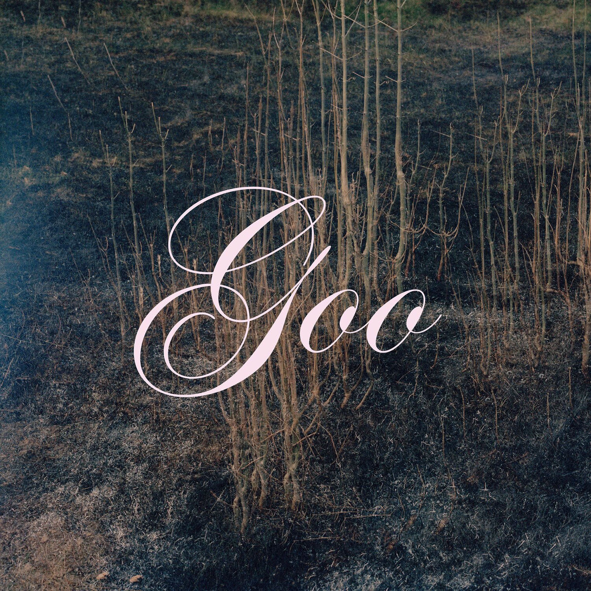 Album cover of Goo