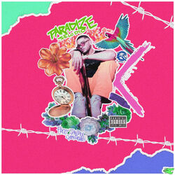Cover of Se Lo Dio