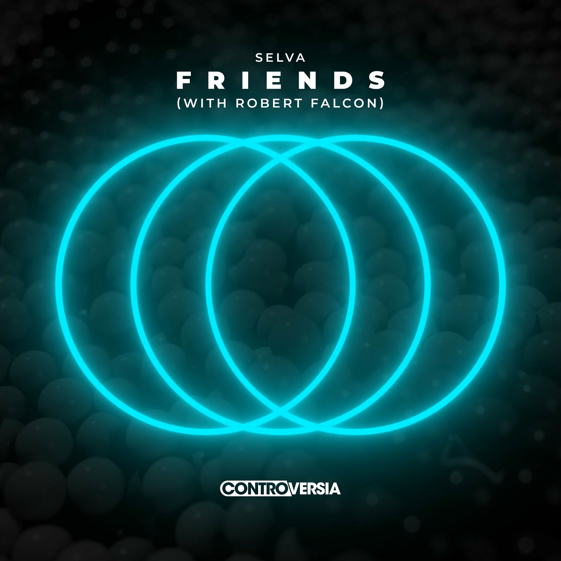 Album cover of Friends (with Robert Falcon)