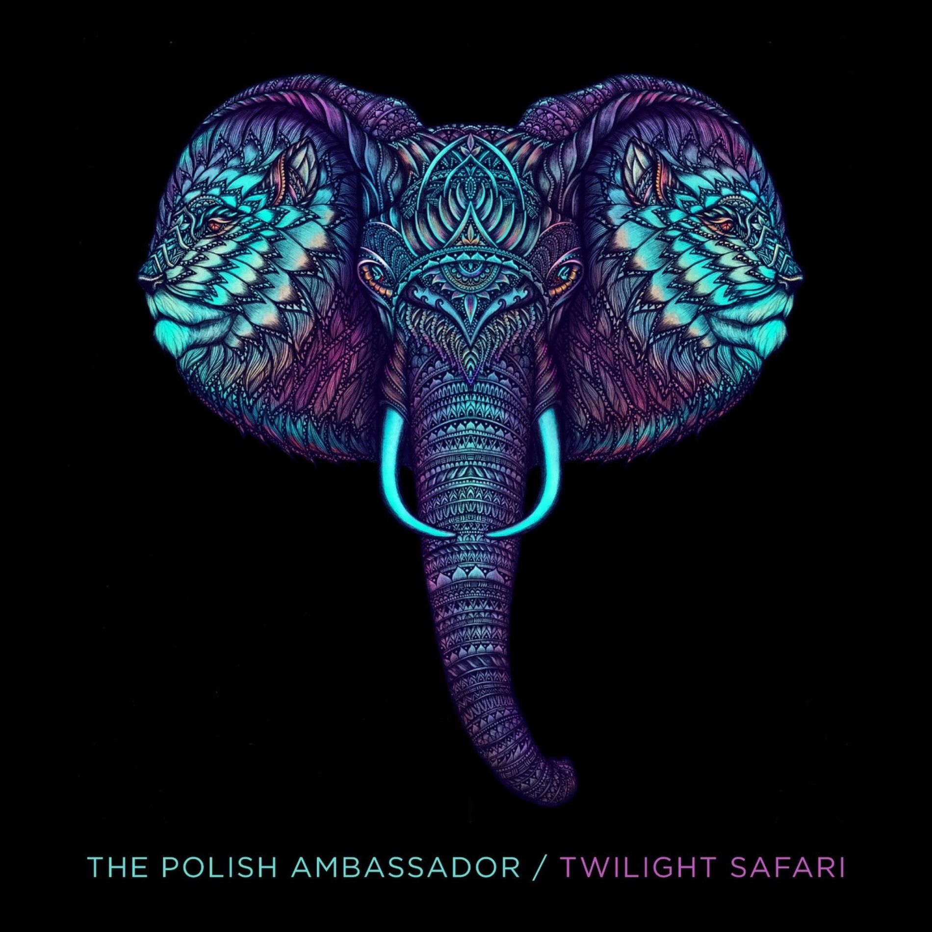 Album cover of Twilight Safari