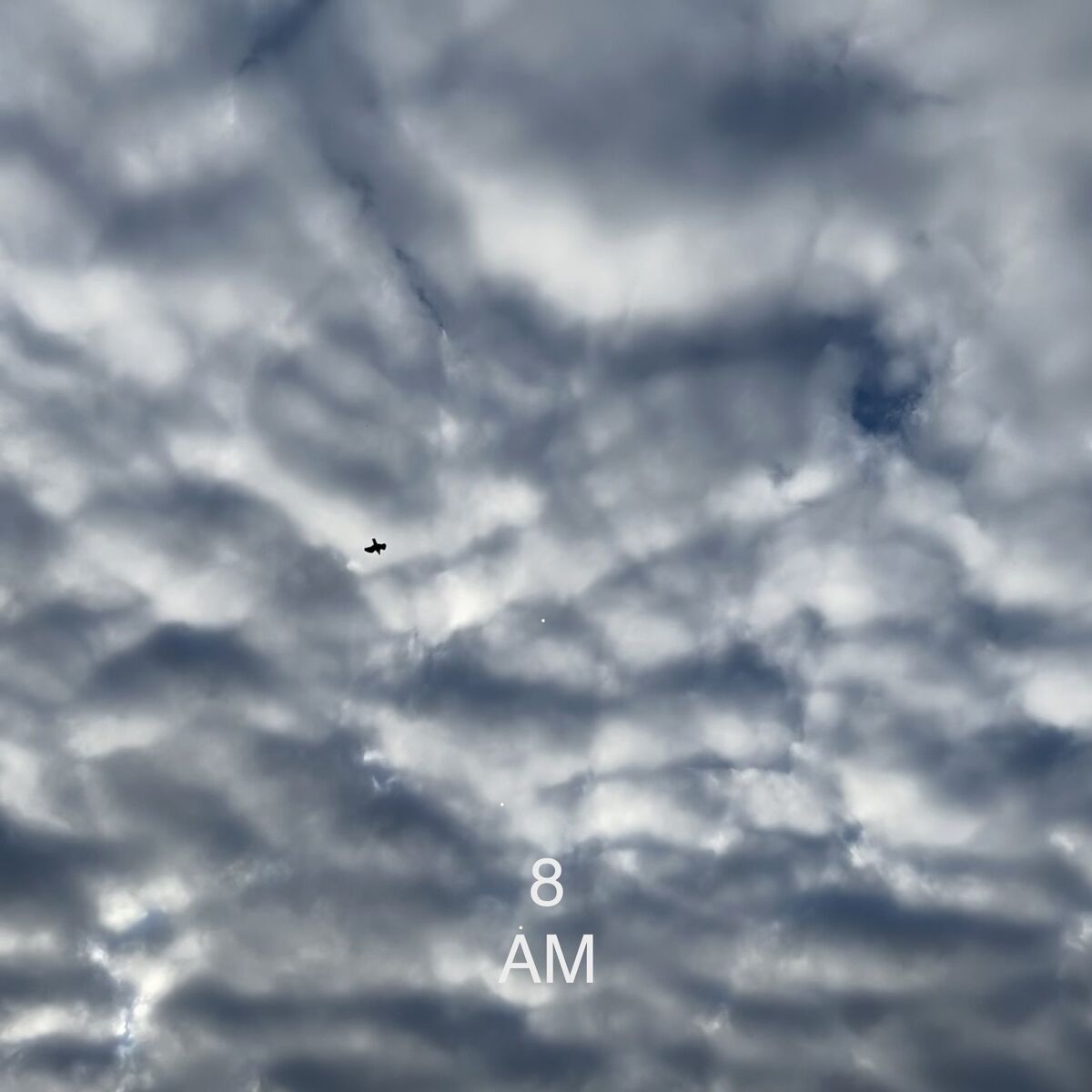 Album cover of Eight