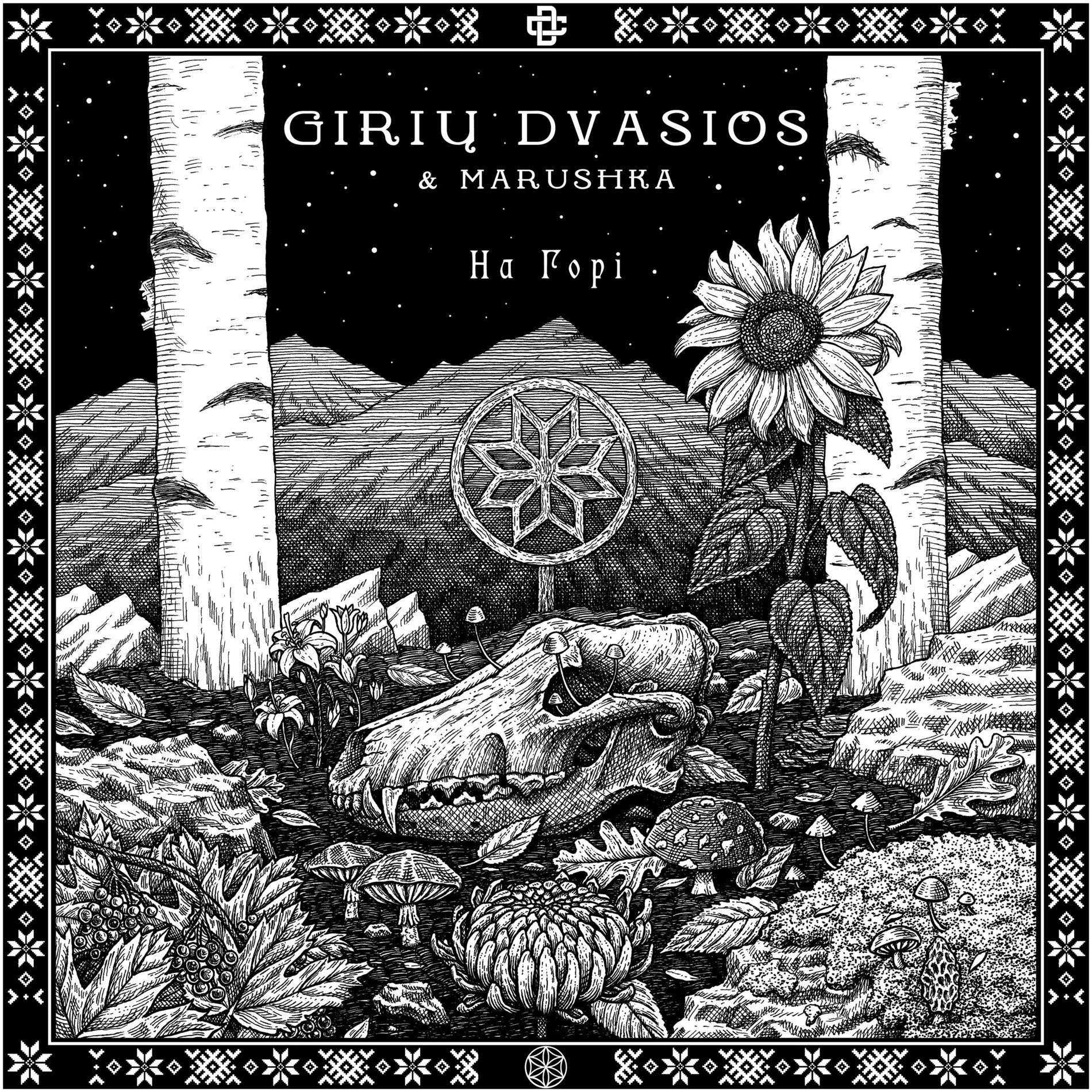 Album cover of Na Gori