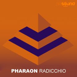 Cover of Radicchio