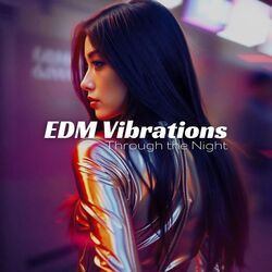 Cover of EDM Vibrations Through the Night