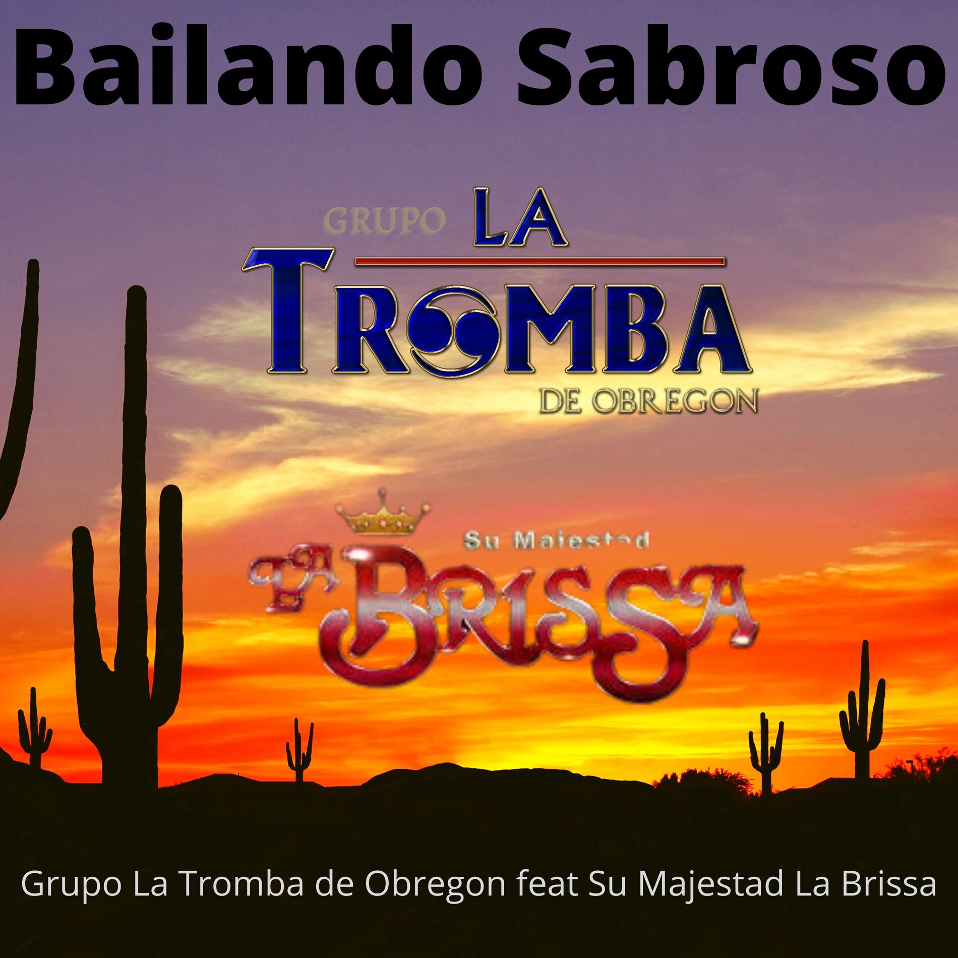 Album cover of Bailando Sabroso