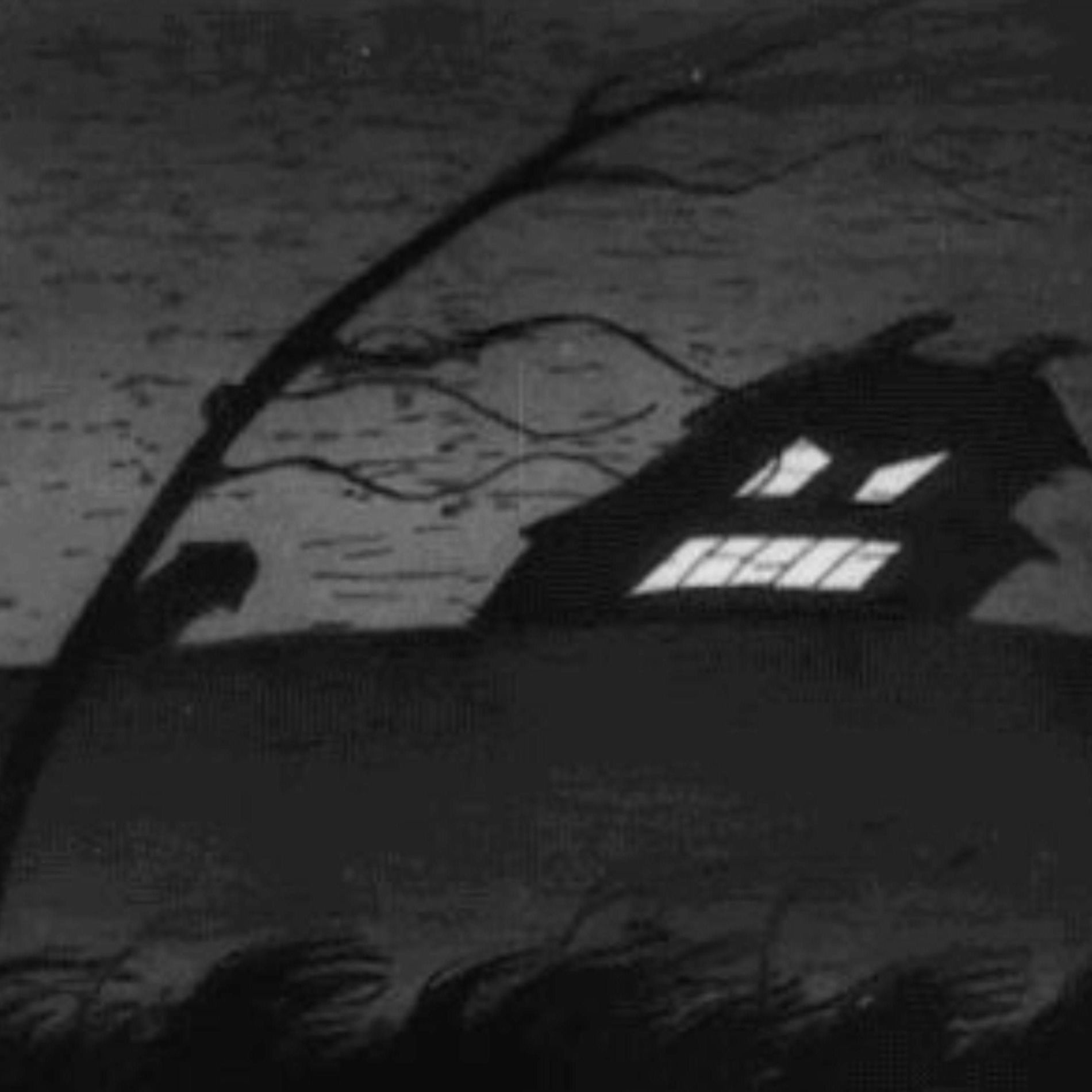 Album cover of You said you'd never leave.