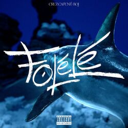 Cover of Folelé