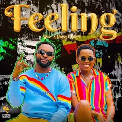 Cover of Feeling