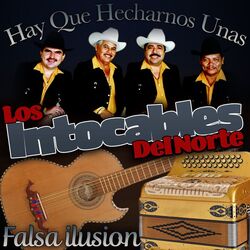 Cover of Falsa Ilusión