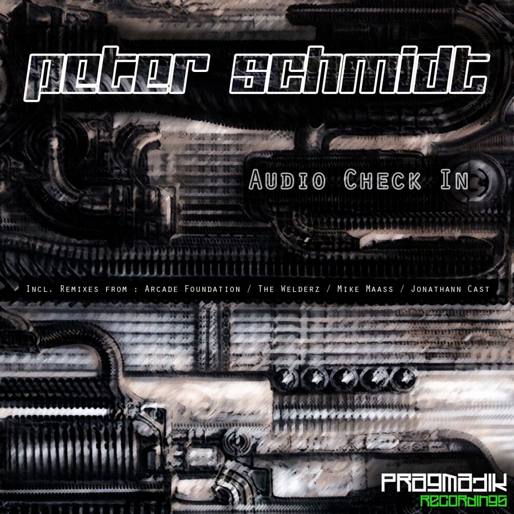 Picture of Audio Check In
