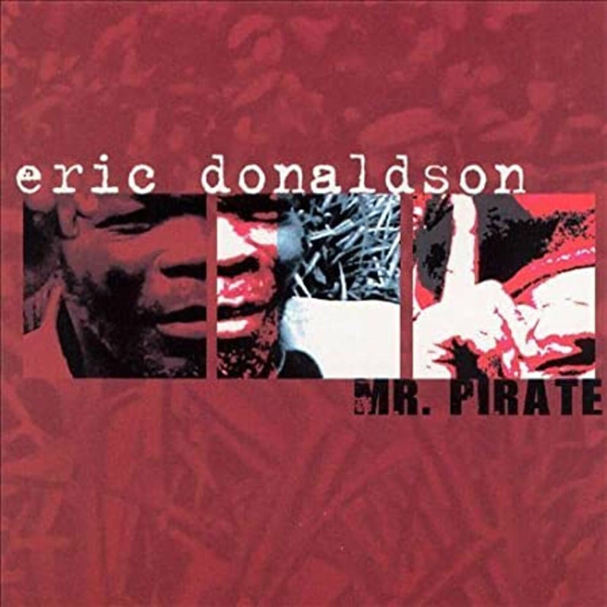 Album cover of Mr. Pirate