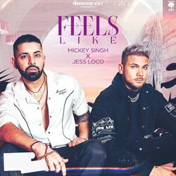 Cover of Feels Like